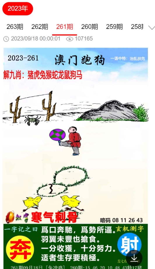 澳门晚上出的号码会是什么？探讨背后的可能性与逻辑